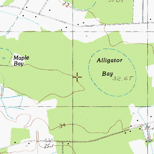 Topographic Map of Alligator Bay, SC