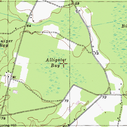 Topographic Map of Alligator Bay, SC