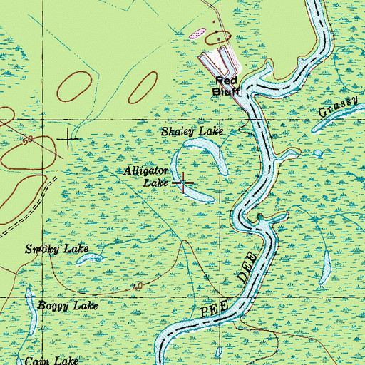 Topographic Map of Alligator Lake, SC