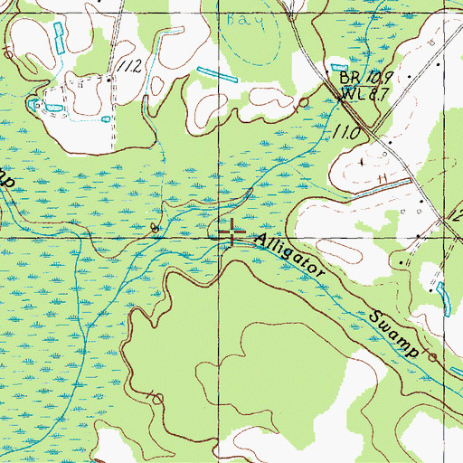 Topographic Map of Alligator Swamp, SC