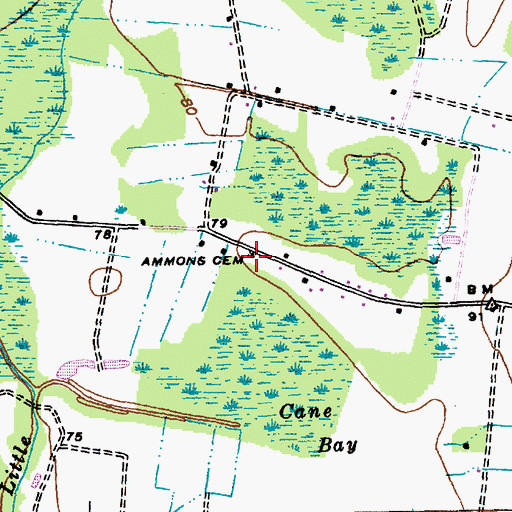 Topographic Map of Ammons Cemetery, SC