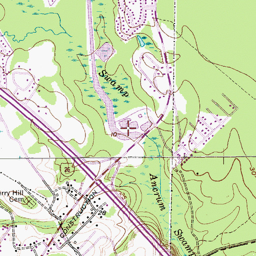Topographic Map of Ancrum Swamp, SC