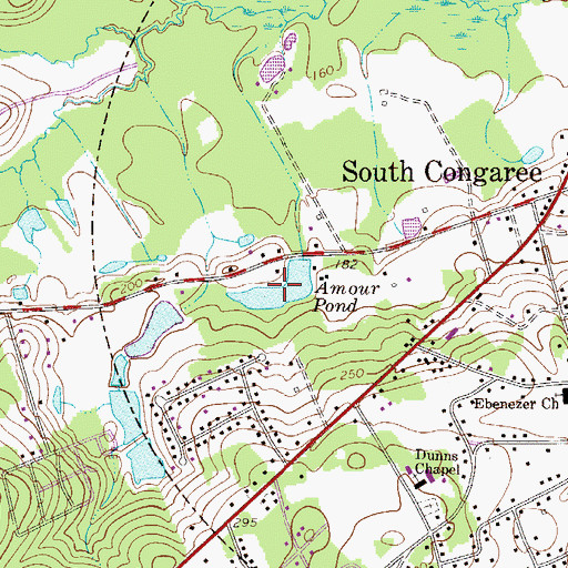 Topographic Map of Amour Pond, SC