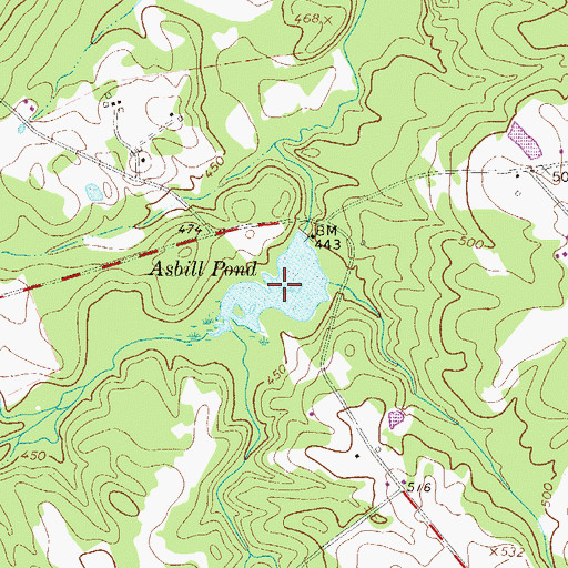 Topographic Map of Asbill Pond, SC