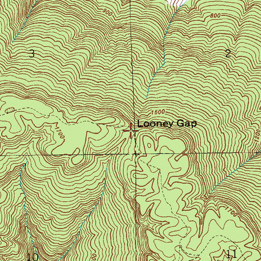 Topographic Map of Looney Gap, AL