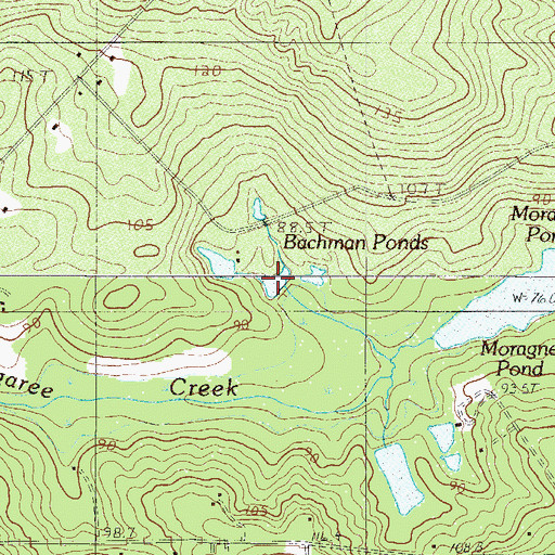 Topographic Map of Bachman Ponds, SC
