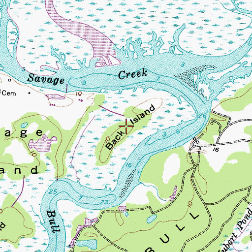 Topographic Map of Back Island, SC