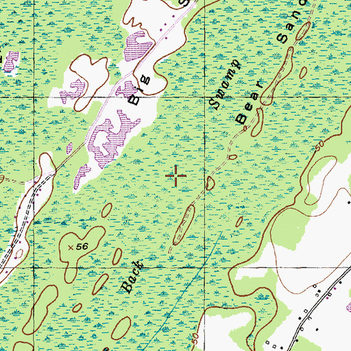 Topographic Map of Back Swamp, SC