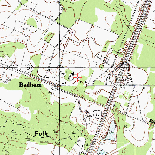 Topographic Map of Badham, SC
