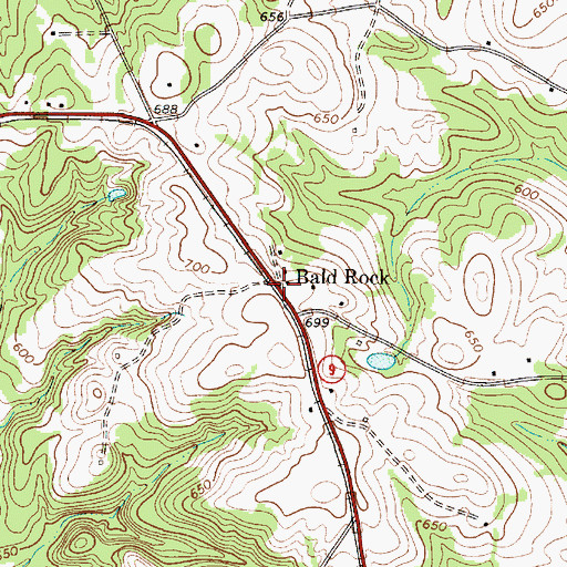Topographic Map of Bald Rock, SC
