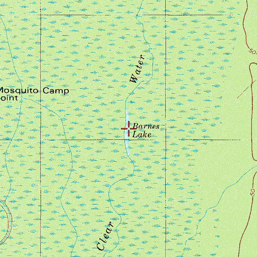 Topographic Map of Barnes Lake, SC