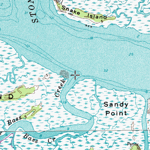 Topographic Map of Bass Creek, SC