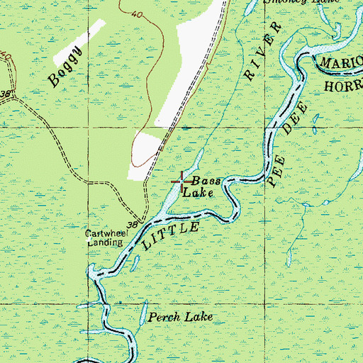 Topographic Map of Bass Lake, SC