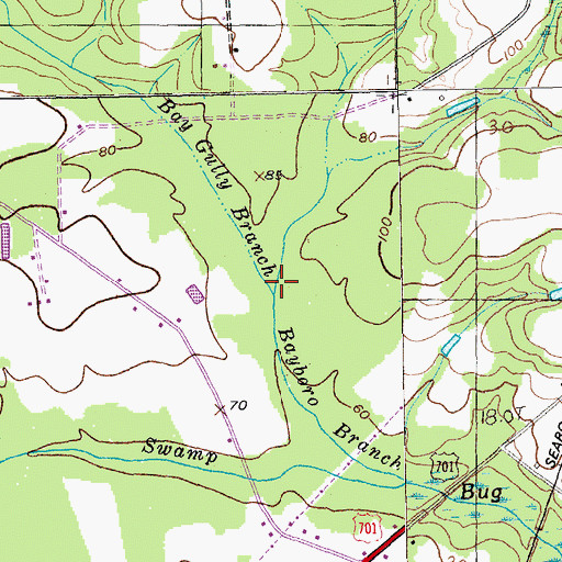 Topographic Map of Bay Gully Branch, SC
