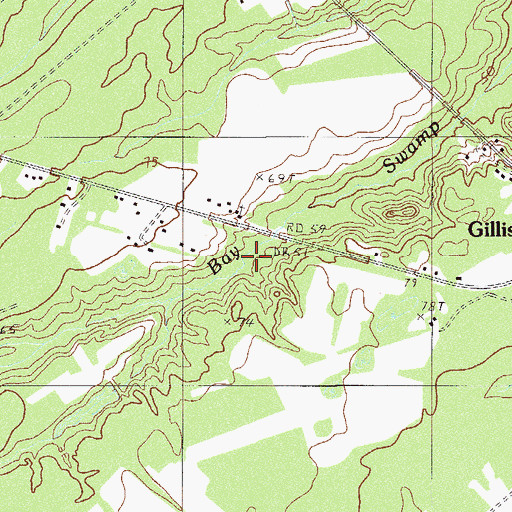 Topographic Map of Bay Swamp, SC