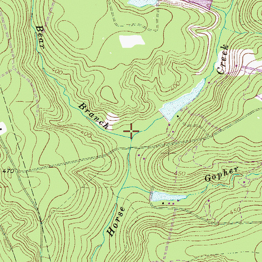 Topographic Map of Bear Branch, SC
