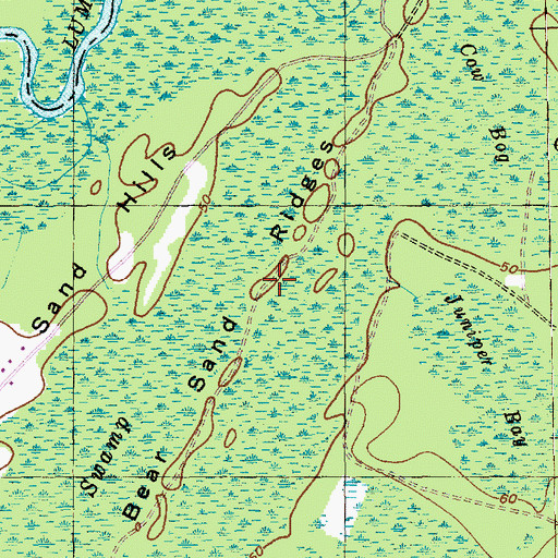 Topographic Map of Bear Sand Ridges, SC