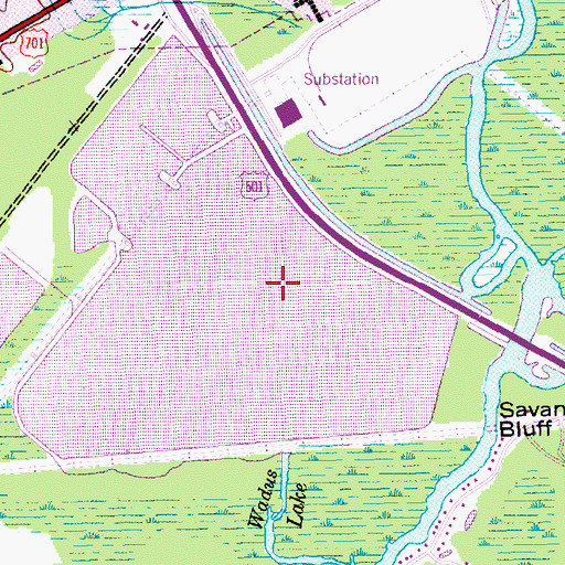 Topographic Map of Bear Swamp, SC