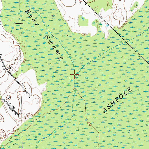 Topographic Map of Bear Swamp, SC