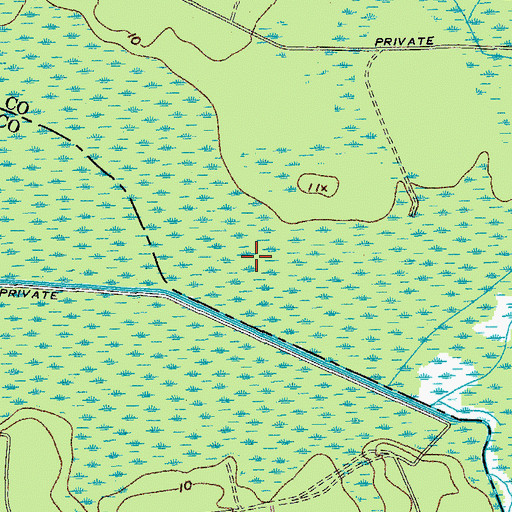Topographic Map of Bear Swamp, SC
