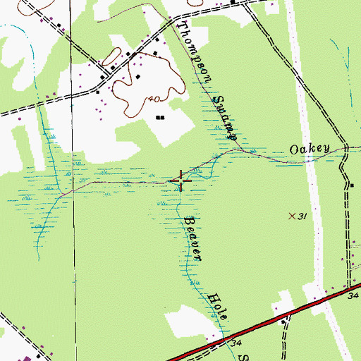 Topographic Map of Beaver Hole Swamp, SC