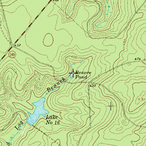 Topographic Map of Beaver Pond, SC