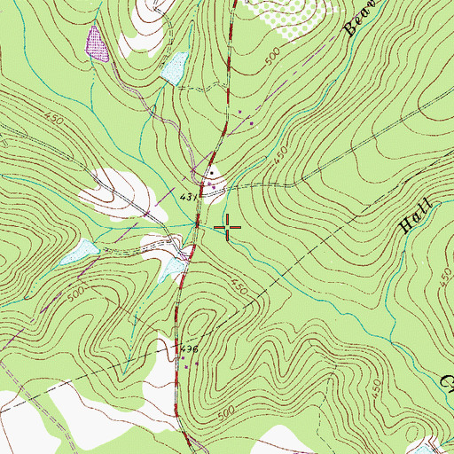 Topographic Map of Beaverdam Branch, SC