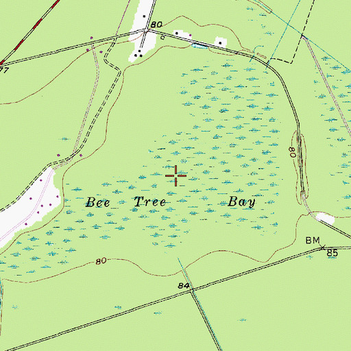 Topographic Map of Bee Tree Bay, SC