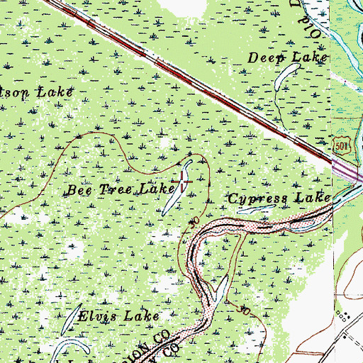 Topographic Map of Bee Tree Lake, SC