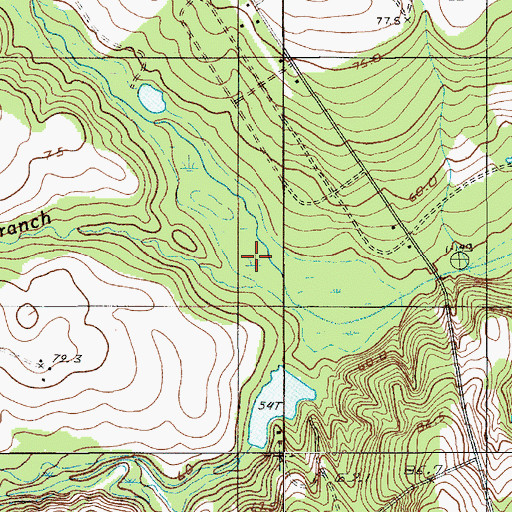 Topographic Map of Bell Branch, SC