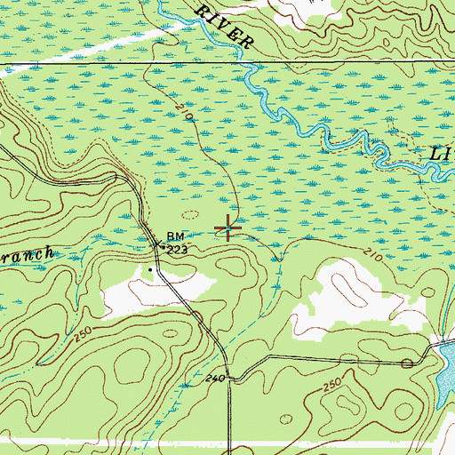 Topographic Map of Bell Branch, SC