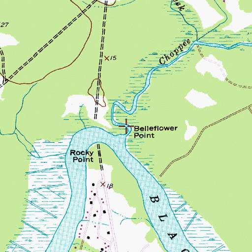 Topographic Map of Belleflower Point, SC
