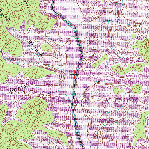 Topographic Map of Betty Branch, SC