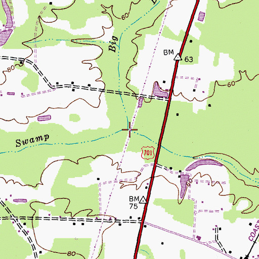 Topographic Map of Big Baxter Swamp, SC