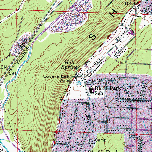 Topographic Map of Lovers Leap, AL