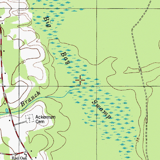 Topographic Map of Big Bay Swamp, SC