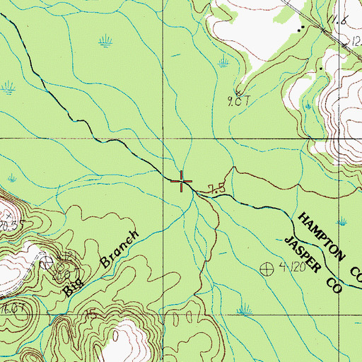 Topographic Map of Big Branch, SC