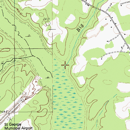 Topographic Map of Big Branch, SC