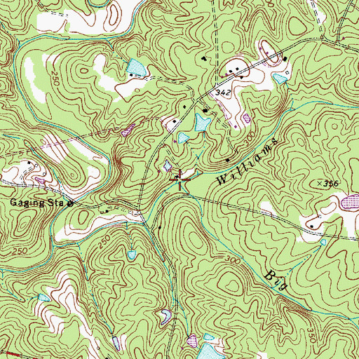 Topographic Map of Big Branch, SC