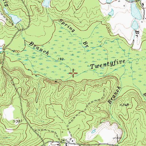 Topographic Map of Big Branch, SC