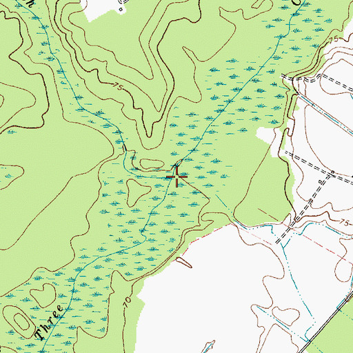 Topographic Map of Big Branch, SC