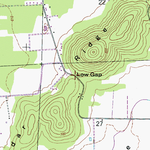 Topographic Map of Low Gap, AL