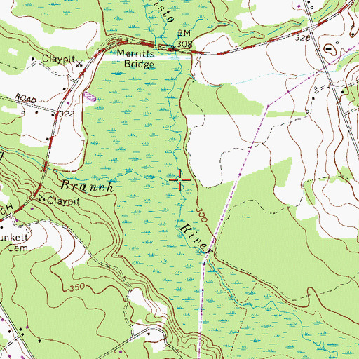 Topographic Map of Big Branch, SC