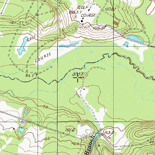 Topographic Map of Big Branch, SC