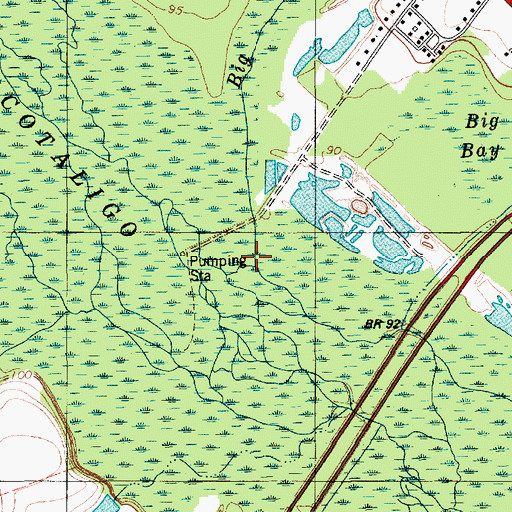Topographic Map of Big Branch, SC