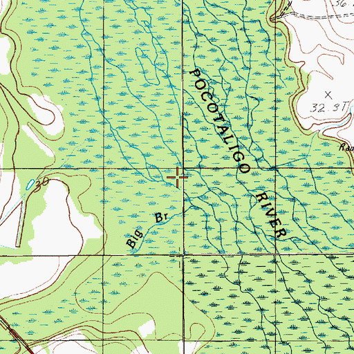 Topographic Map of Big Branch, SC