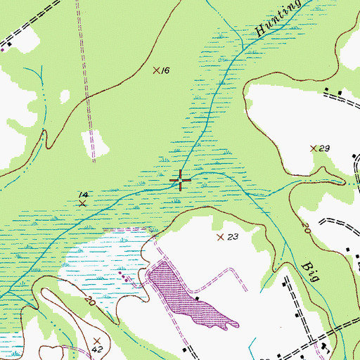 Topographic Map of Big Cypress Swamp, SC
