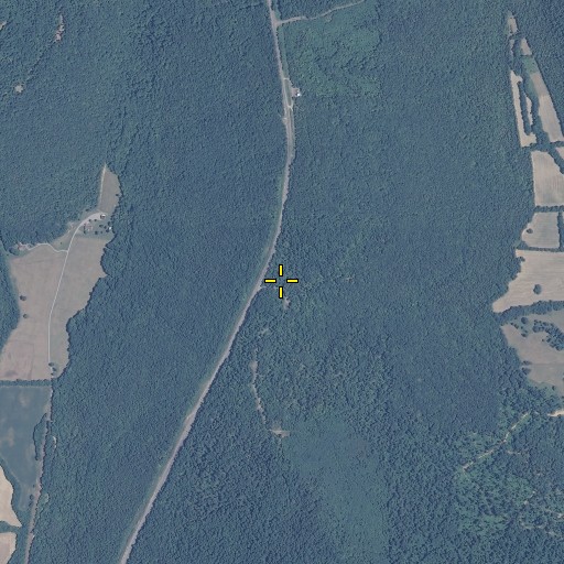 Aerial/Satellite Image of Low Gap, AL