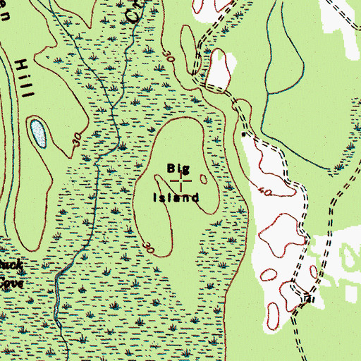 Topographic Map of Big Island, SC