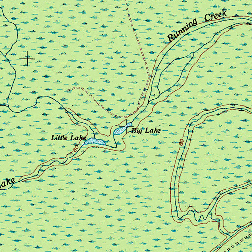 Topographic Map of Big Lake, SC